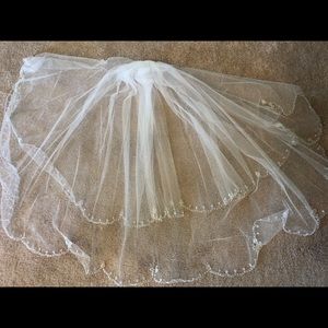 Bridal veil with blusher